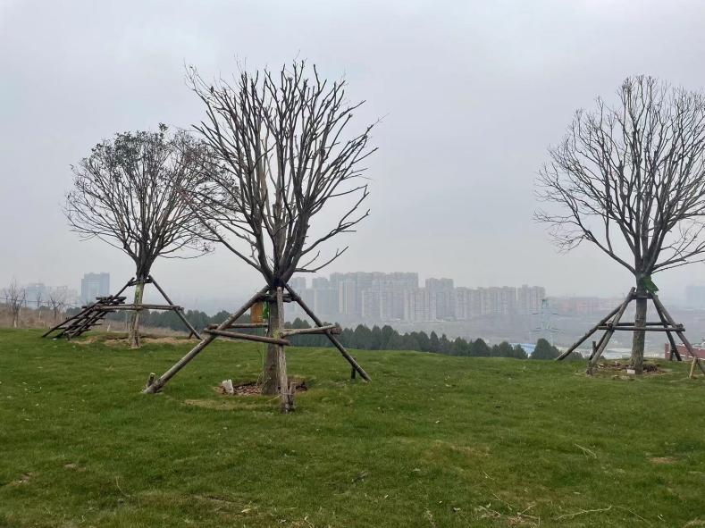 威廉希尔体育